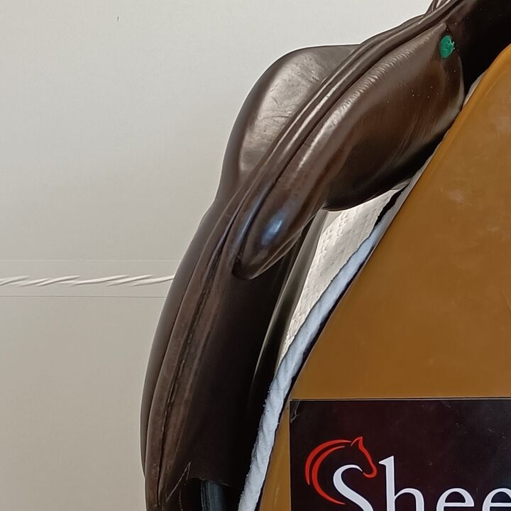 IMG20240813144527.jpg