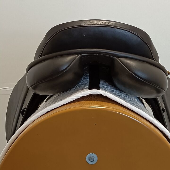 IMG20240816143224.jpg