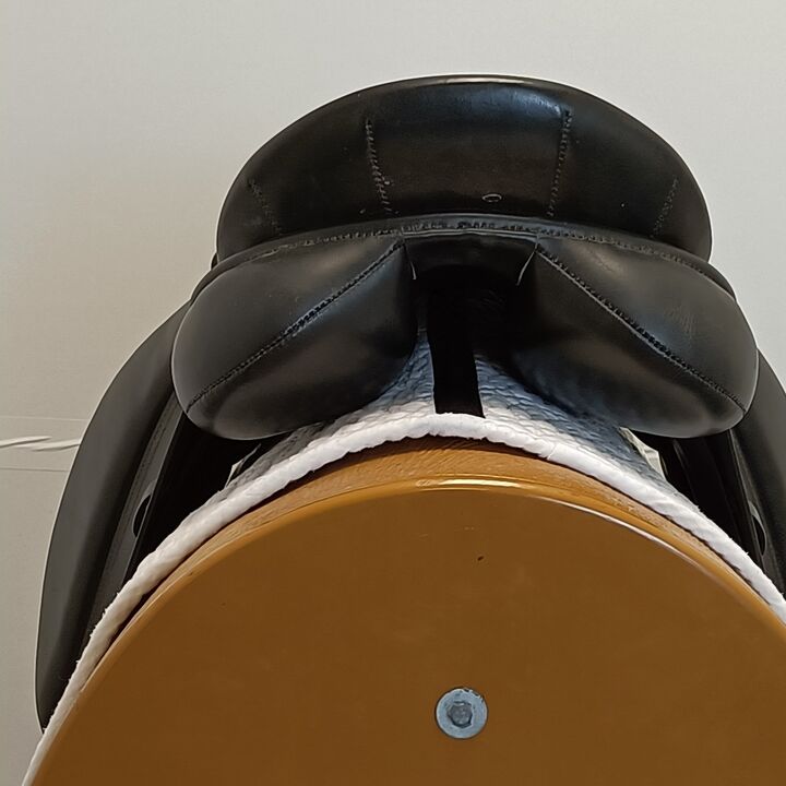 IMG20240816162254.jpg