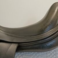 IMG20240820141037 - Copy.jpg