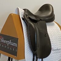 IMG20240820141050 - Copy.jpg