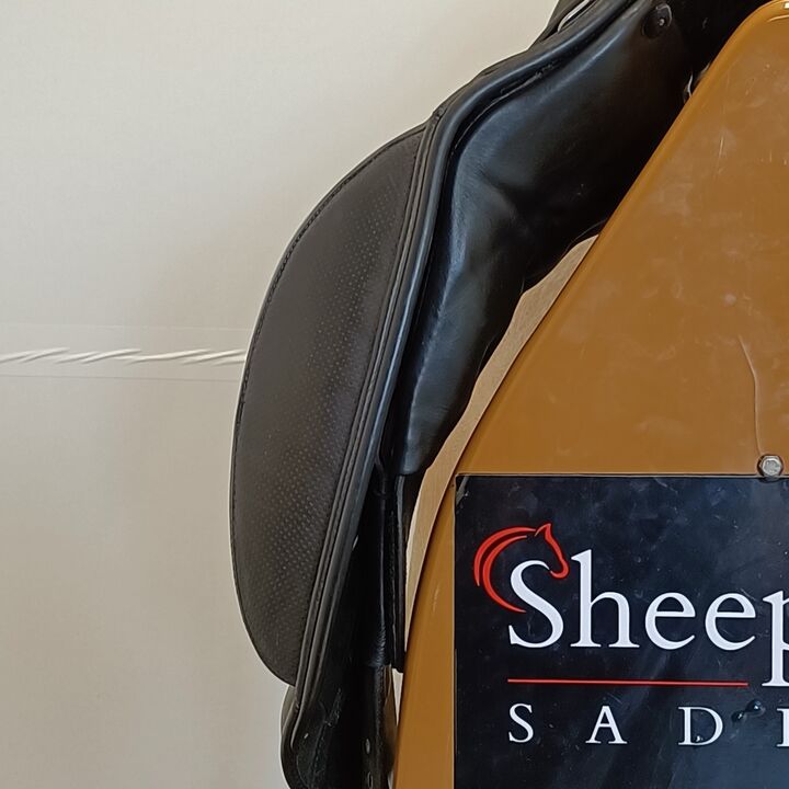 IMG20240820141148.jpg