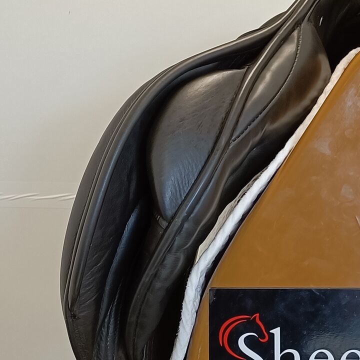 IMG20240820150959.jpg