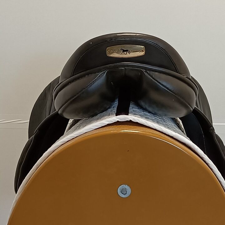 IMG20240820152210.jpg