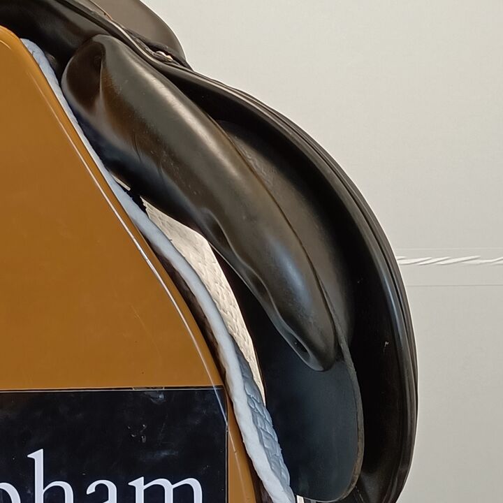 IMG20240820153211.jpg