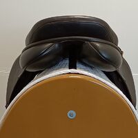 IMG20240829140452.jpg