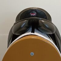 IMG20240829145040.jpg