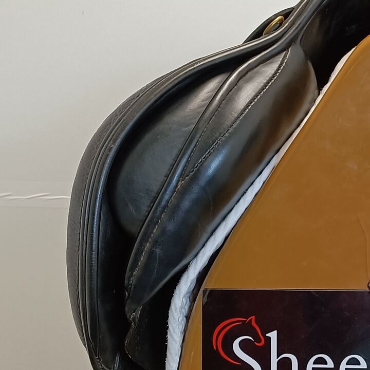 IMG20240905124427.jpg