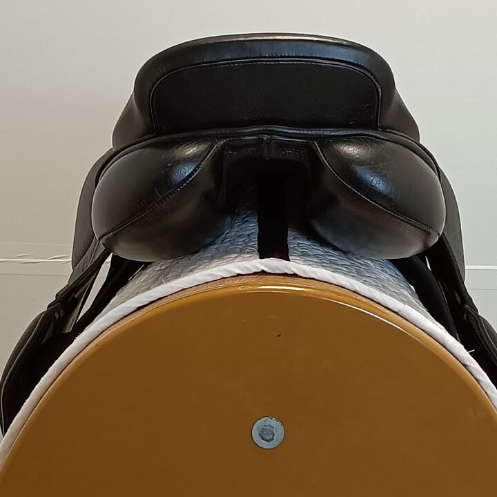 IMG20240905130241.jpg