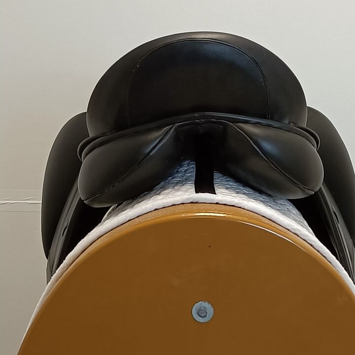 IMG20240905132112.jpg