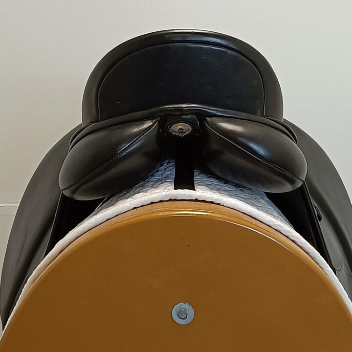 IMG20240905132447.jpg