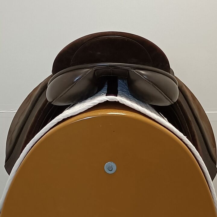 IMG20240910133354.jpg