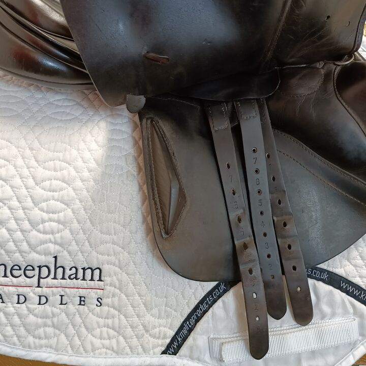 IMG20240910134313.jpg