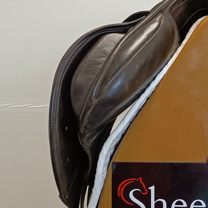 IMG20240910134358.jpg
