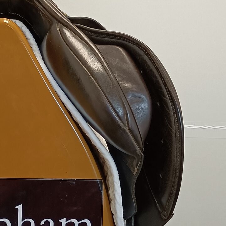 IMG20240910134401.jpg