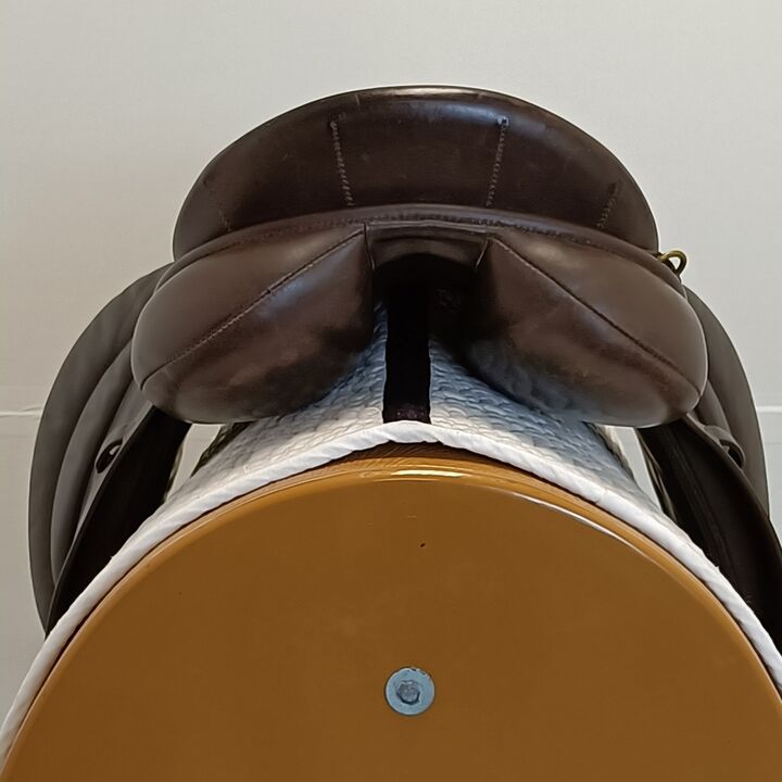 IMG20240913134301.jpg