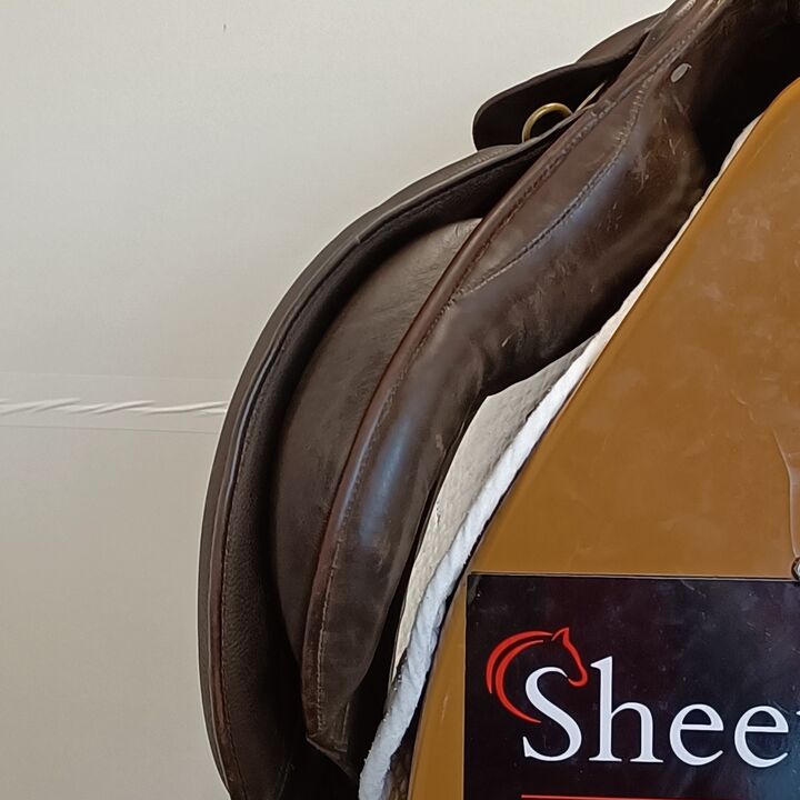 IMG20240913134430.jpg