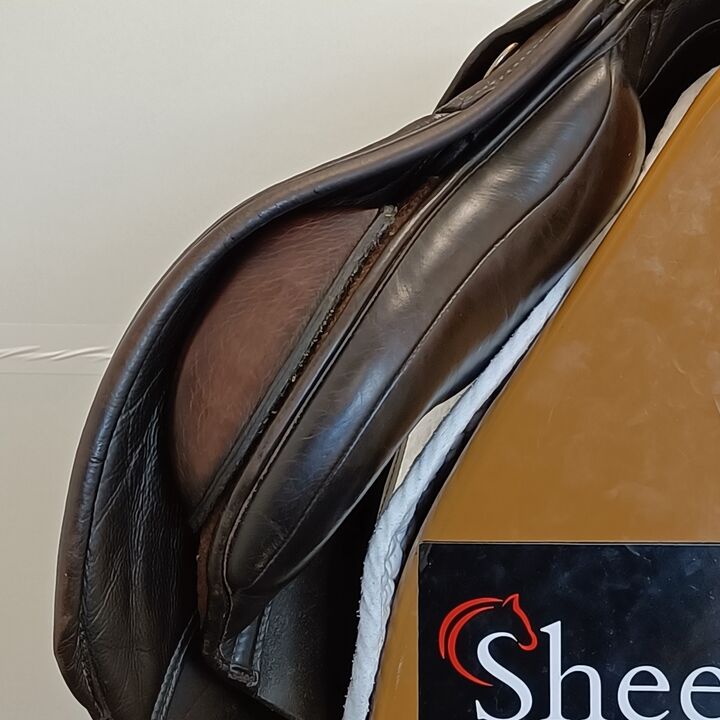 IMG20240917133619.jpg