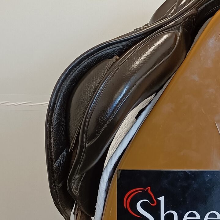 IMG20240917134603.jpg