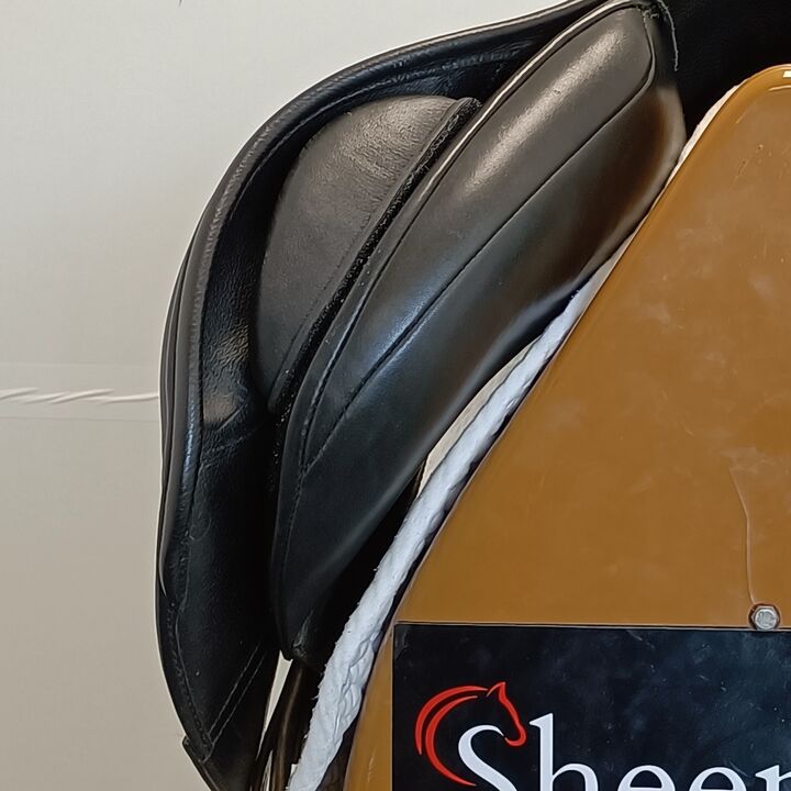 IMG20241003135126.jpg
