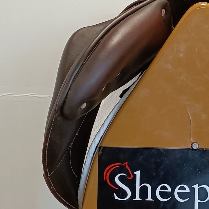 IMG20241003142201.jpg