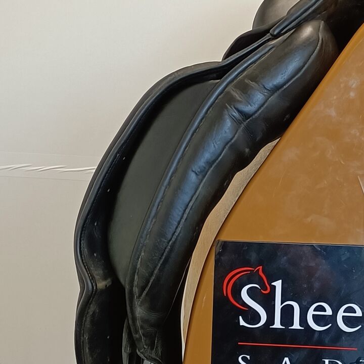 IMG20241003143005.jpg