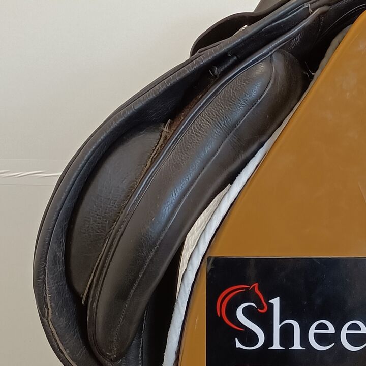 IMG20241008140608.jpg