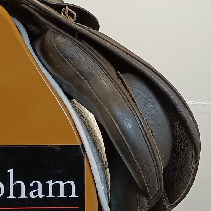 IMG20241008140610.jpg