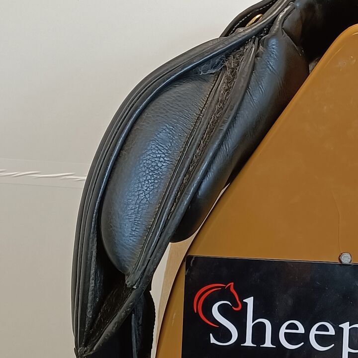 IMG20241008141638.jpg
