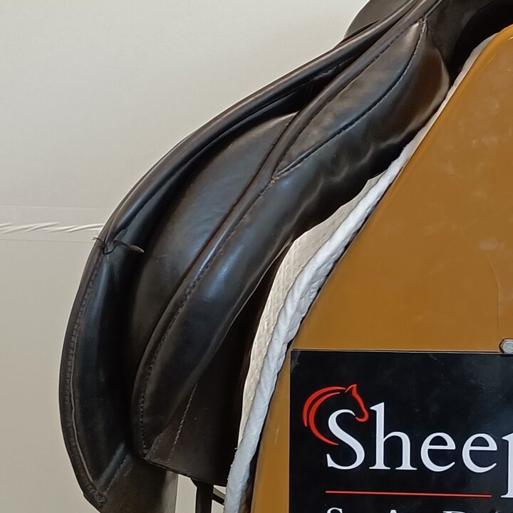 IMG20241018135612.jpg
