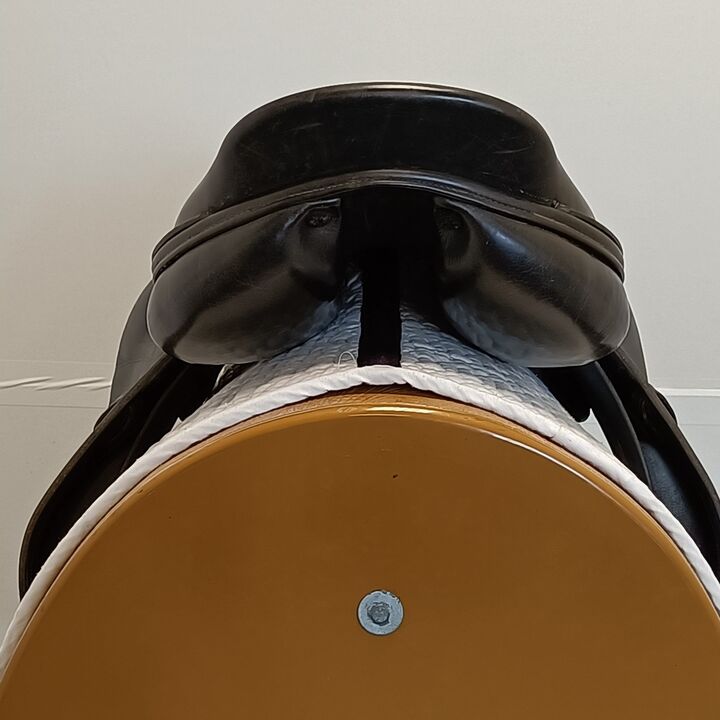 IMG20241101135911.jpg