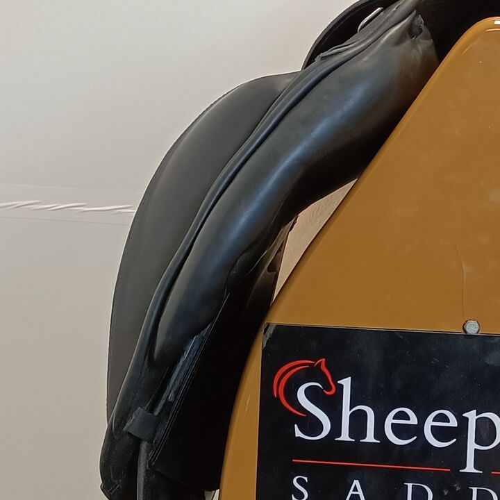 IMG20241114144637.jpg