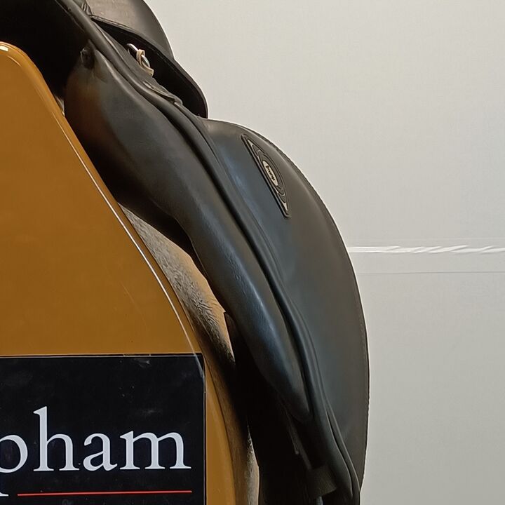 IMG20241114144639.jpg
