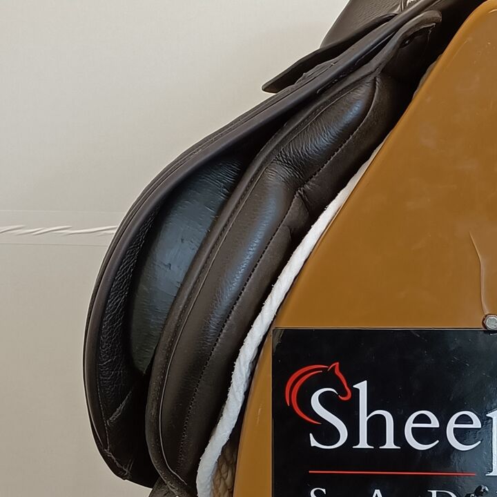 IMG20241122131657.jpg