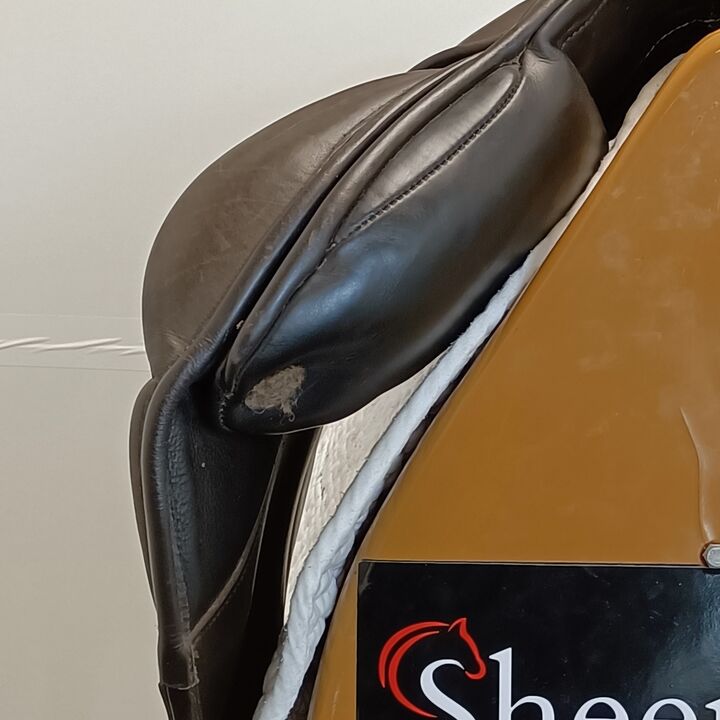 IMG20241122132200.jpg