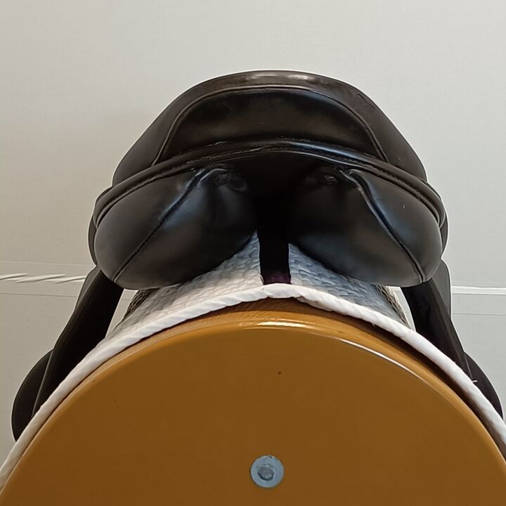 IMG20241128133659.jpg
