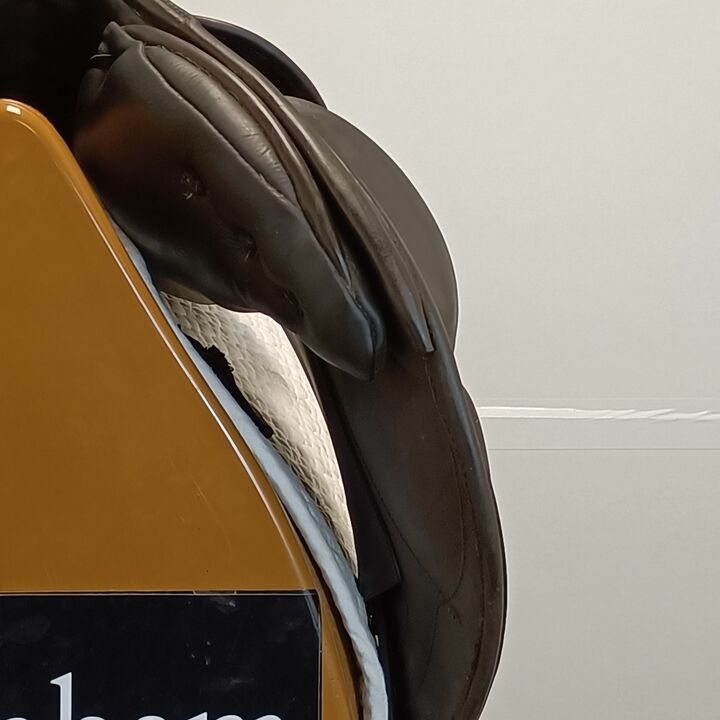 IMG20241128133746.jpg