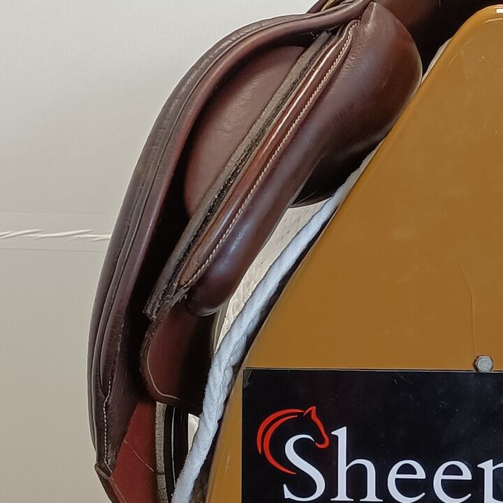 IMG20241210141812.jpg