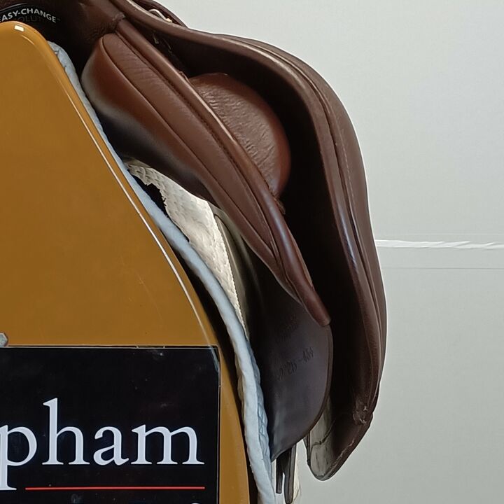 IMG20241210142405.jpg