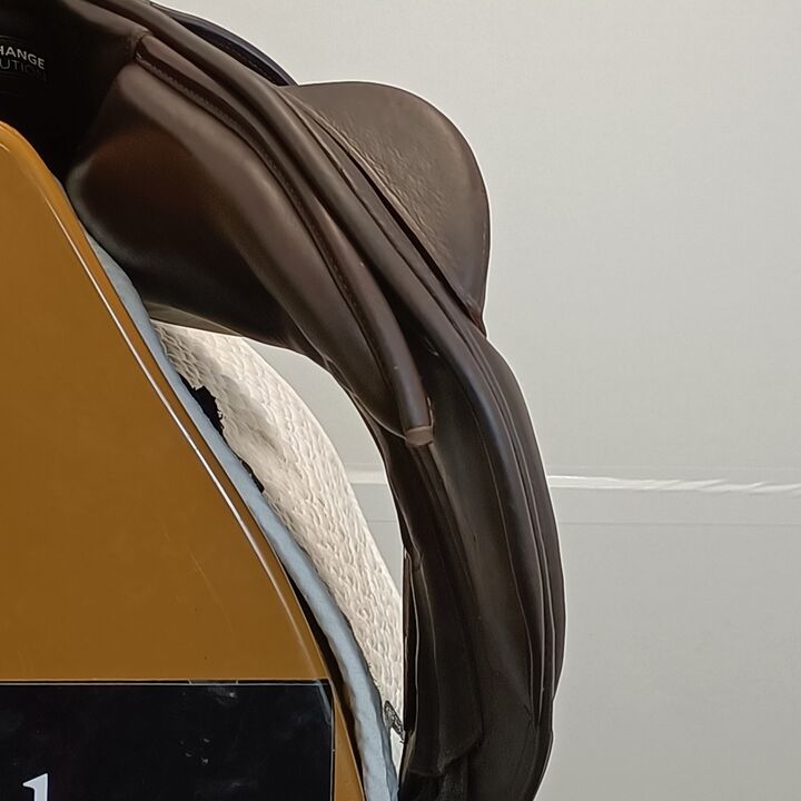 IMG20241210143303.jpg