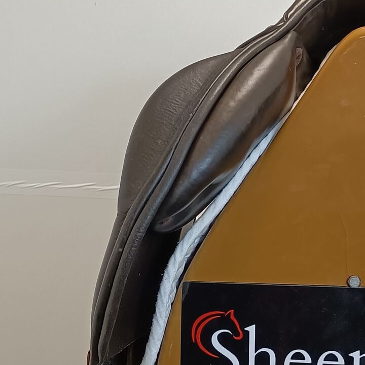 IMG20241210144156.jpg
