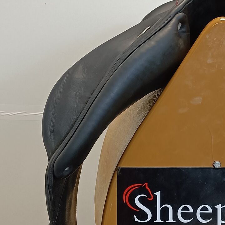 IMG20241210145101.jpg