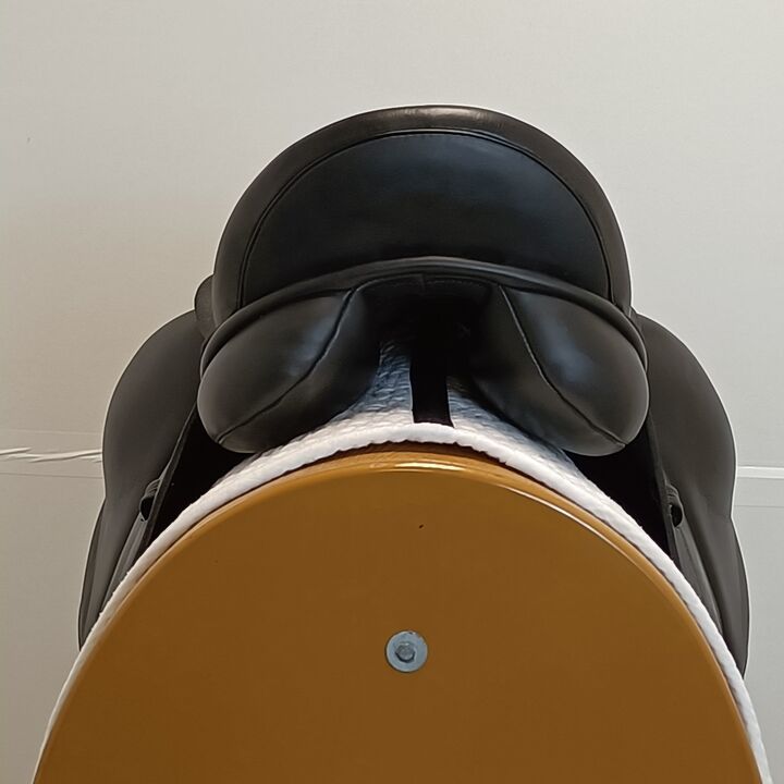IMG20250108121130.jpg