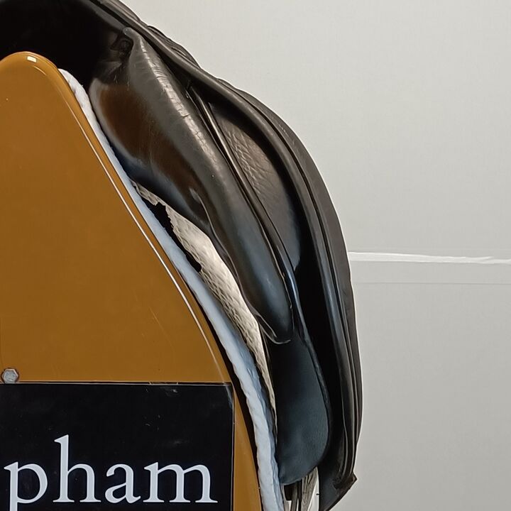 IMG20250108123248.jpg