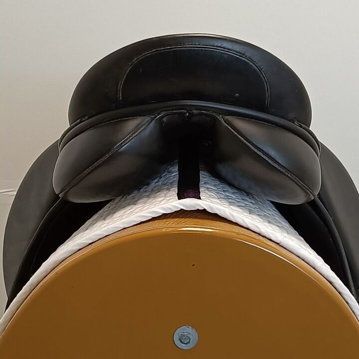IMG20250108125136.jpg