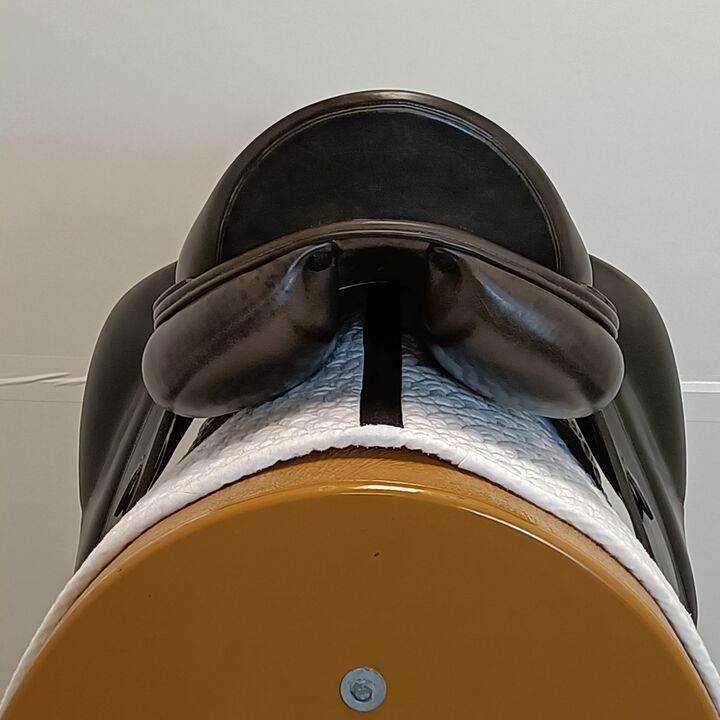 IMG20250108130952.jpg