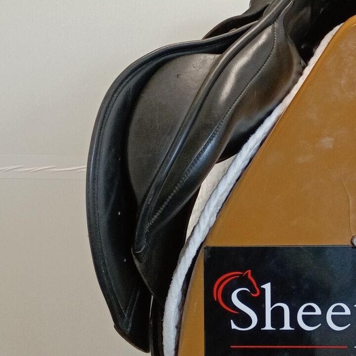 IMG20250110140414.jpg