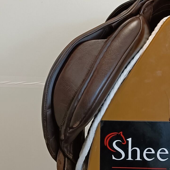 IMG20250110141417.jpg