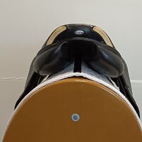IMG20250115133124.jpg