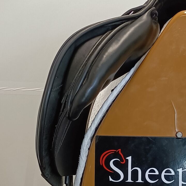 IMG20250115133219.jpg